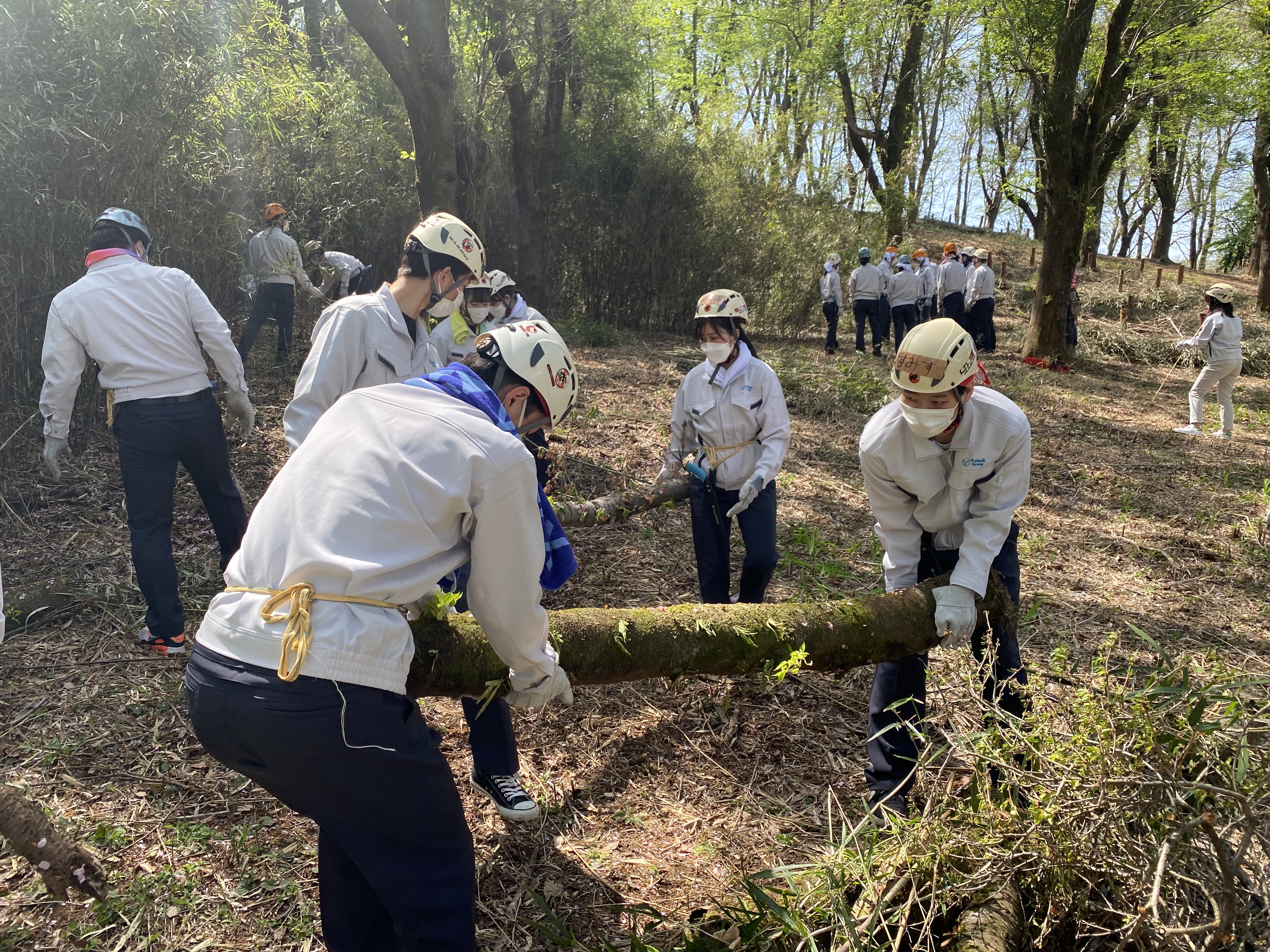 forest conservation activities