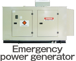 Emergency power generator