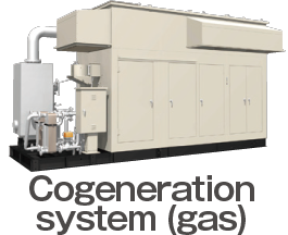 Cogeneration system (gas)
